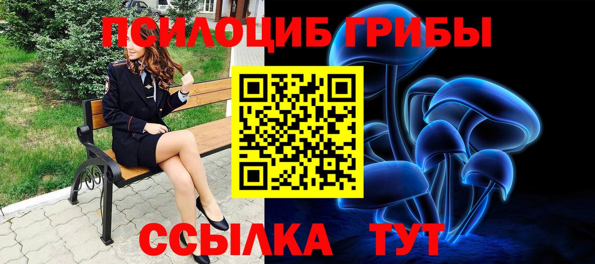 Каменка  Галлюциногенные грибы прущие грибы  Вход с VPN  Псилоцибиновые грибы GOLDEN TEACHER 