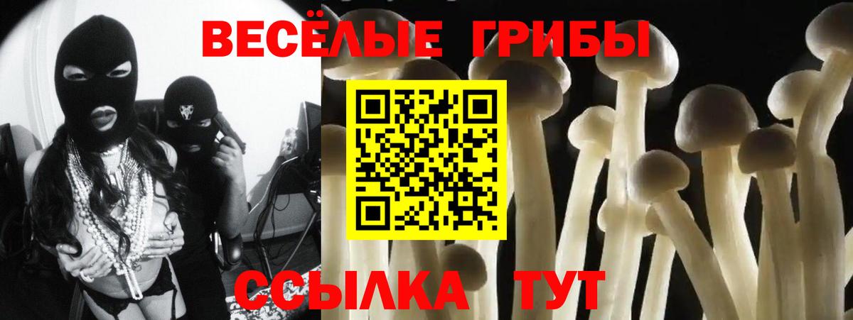 Галлюциногенные грибы прущие грибы Каменка